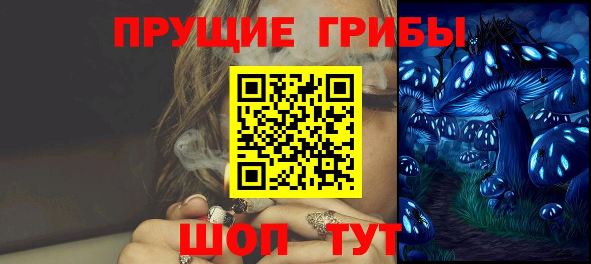 Псилоцибиновые грибы Psilocybine cubensis Медногорск